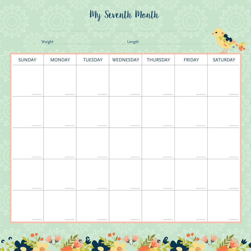 My Life as a Baby: A First-Year Calendar (Birds)