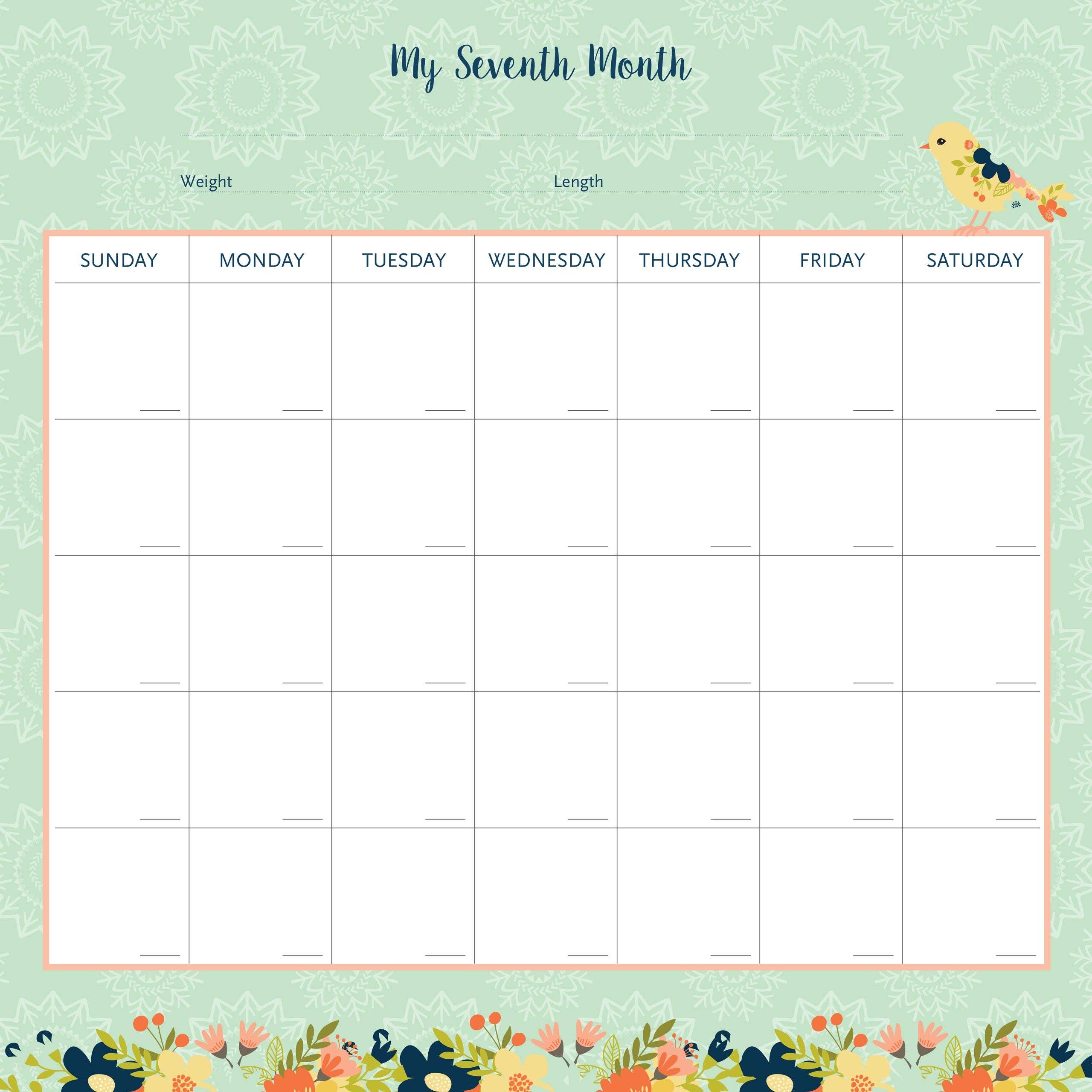 My Life as a Baby: A First-Year Calendar (Birds)
