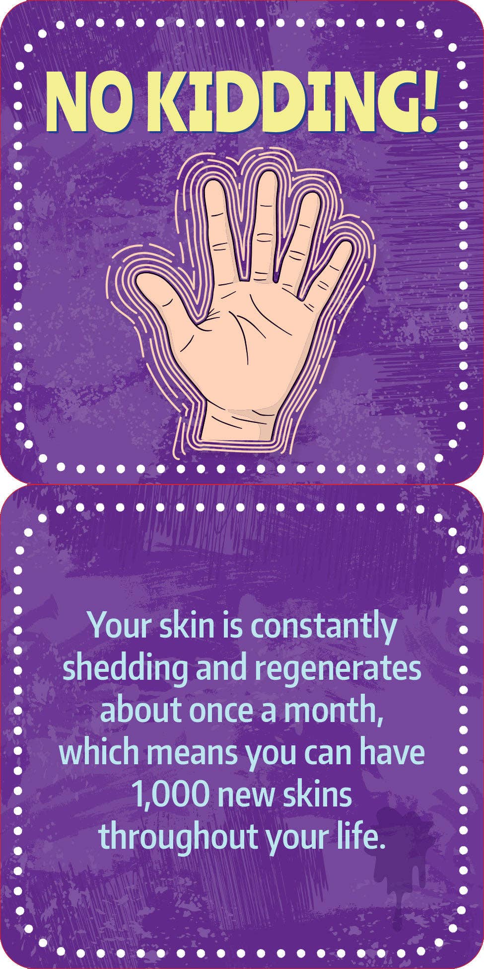 Gross Facts Lunch Box Notes for Kids!